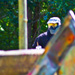 images/action/10.jpg