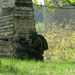 images/action/3.jpg