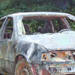 images/action/9.jpg