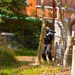 images/wald/10.jpg