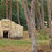 images/wald/5.jpg