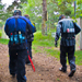 images/wald/7.jpg