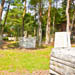images/wald/8.jpg